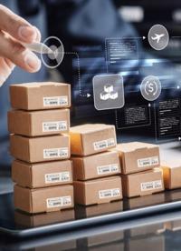 Jak vybrat správnou paletu pro přepravu a skladování? Praktický průvodce pro váš dodavatelský řetězec